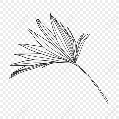 Beautiful Tropical Plant Line Plant Leavesfloralplant Drawing Png