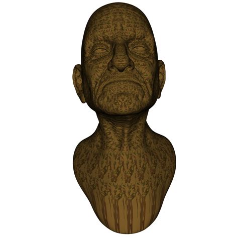 man head  animal skin  stock photo public domain pictures