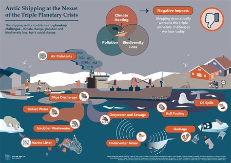 40lb to kg conversion mistakes lead to major shipping delays 4