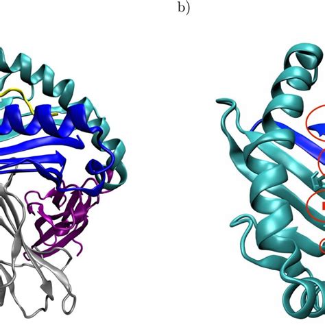 Structural Overview Of Peptide Mhc I Complexes Using The Crystal