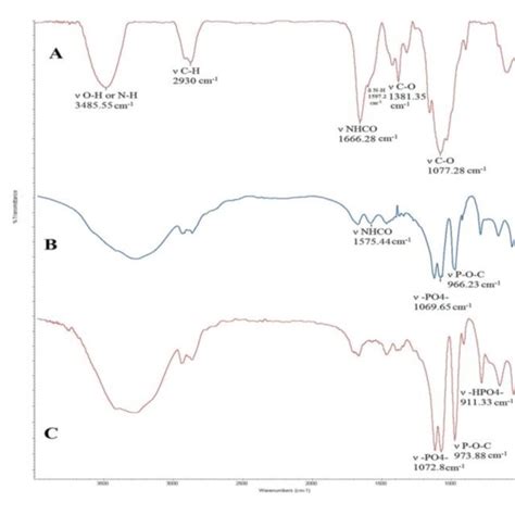 Ftir Spectra Of Chitosan A Cross Linked Chitosan B Gp C