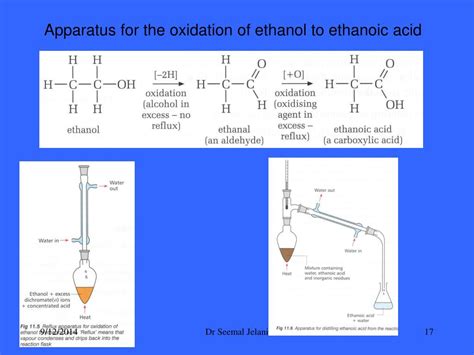 Ppt Alcohol Powerpoint Presentation Free Download Id4296802