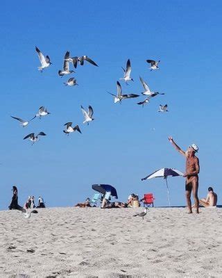 Haulover Beach Miami Fl Porn Pictures Xxx Photos Sex Images Pictoa