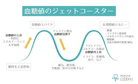 血糖値についてきちんと理解しよう。インスリン抵抗性や低血糖とは？