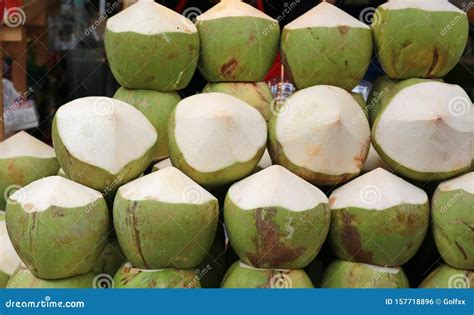 Topical Coconuts Royalty Free Stock Photography