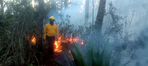 Extinguen Once Incendios En Diferentes Puntos Del País Periódico Elcaribe