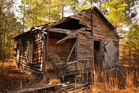 Old Cabin in the Woods stock photo. Image of ground, retro - 23066180