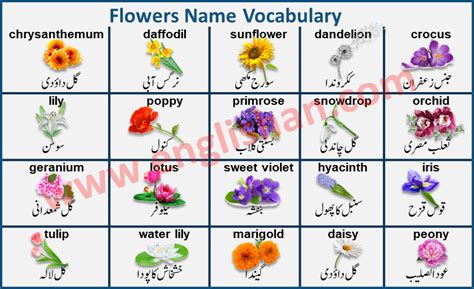 Flower Girl Names In Arabic Idalias Salon