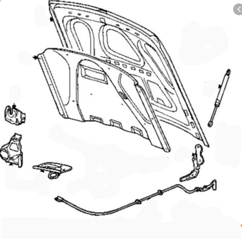 hood assembly diagram quizlet