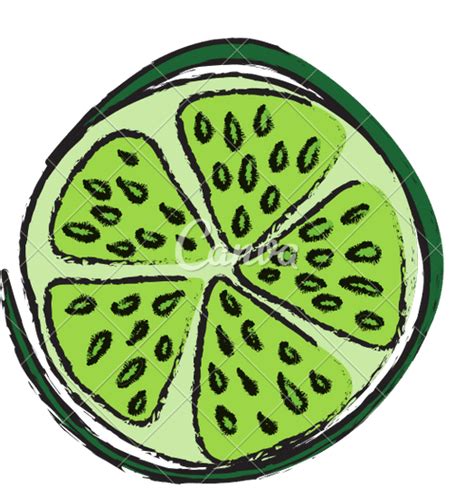 Lemon Citrus Fruit 素材 Canva可画