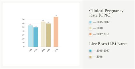 Fertility Treatment Ivf Egg Donor Success Rates In New York Ny