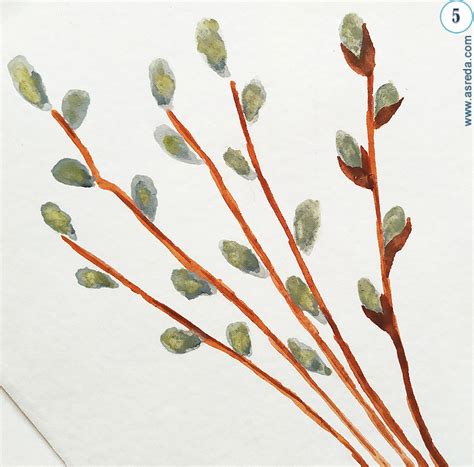 Мастер-класс – веточка вербы акварелью