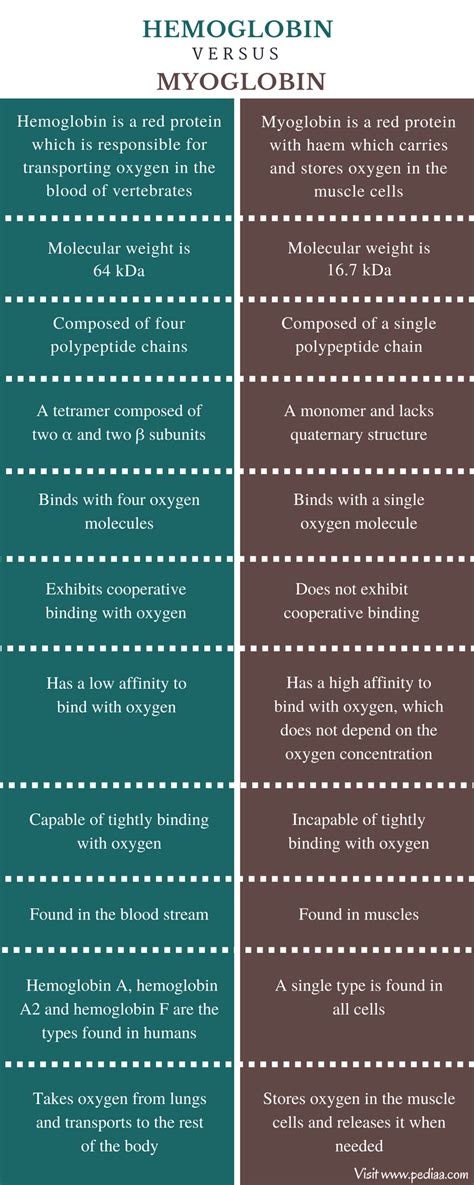 Difference Between Hemoglobin and Myoglobin - Comparison Summary Study Biology, Biology Lessons ...