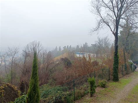 Nuove ricerche al convento dei Cappuccini di Cesena: "Dobbiamo trovare