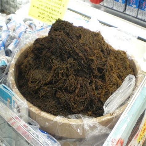 Mozuku Nutritional Value And Its Uses - Veggies Info | Veggies Info