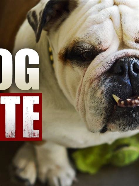 does state farm cover rental car 7