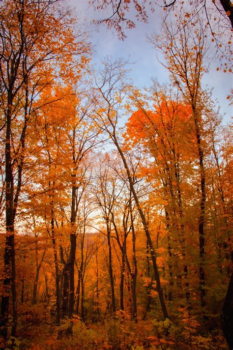 Health & Wellness Tips for the Fall Season | Kim Nick