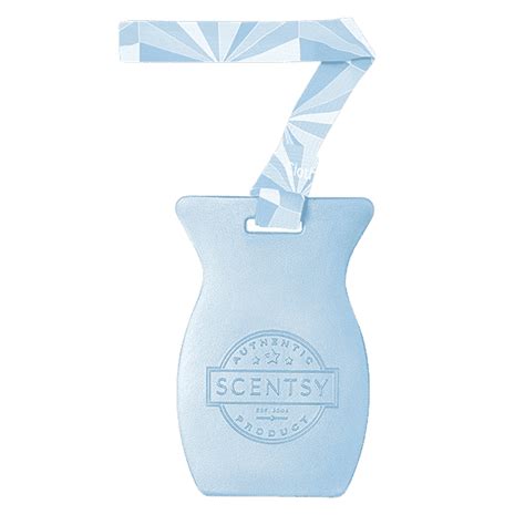Ocean Scentsy Bar