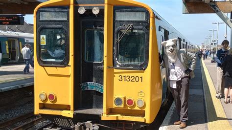 Fursuiting With The Class 313 Finale Sussex Rambler Railtour 29th