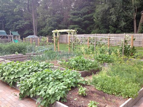 finishing  grape arbor