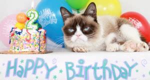 Grumpy Cat Birthday Quotes. QuotesGram