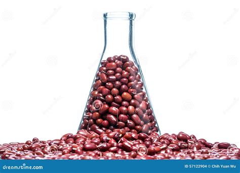 Red Bean Genetically Modified, Plant Cell Stock Photo - Image of ...