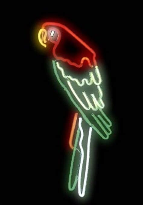 Parrot B Neon Art Neon Sculptures Neon Signs Neon Lighting By