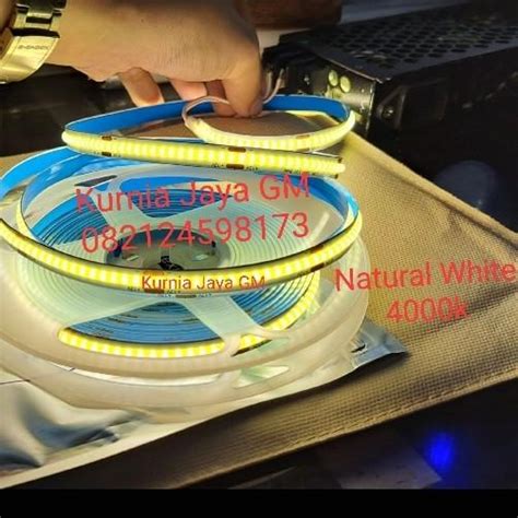 Led Strip Cob Dc Volt Meter Led Strip Light Dotless Mm Ip My