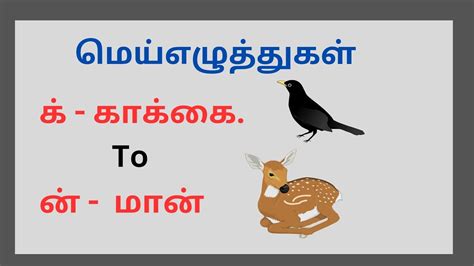 மயயழததககள Mei Ezhuthukal Tamil letters all YouTube