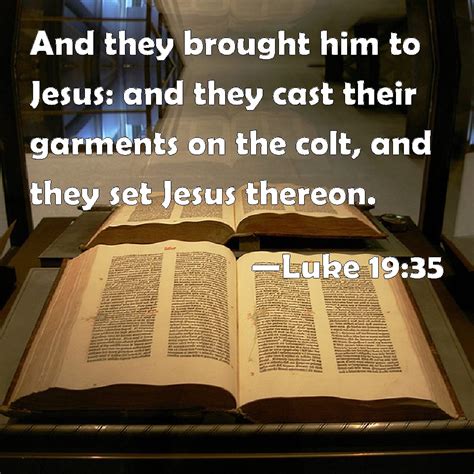 Luke 19 35 And They Brought Him To Jesus And They Cast Their Garments