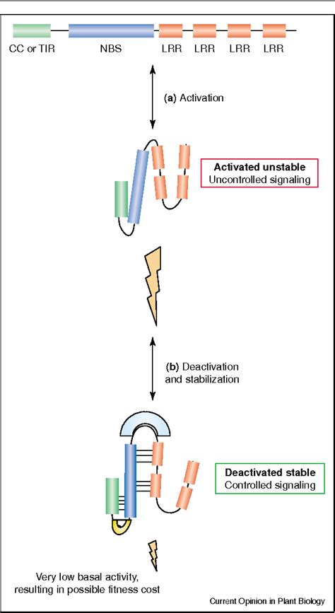 PDF Plant Disease Resistance Protein Signaling NBS LRR Proteins And