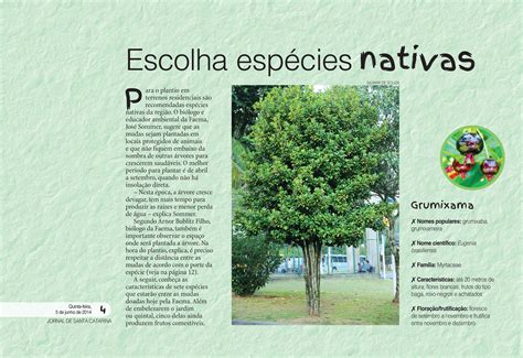 Reportagem Sobre O Meio Ambiente Texto - 7