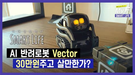 Ai 반려로봇 벡터vector 30만원주고 살만한가 미래생활백서 Smart Life Youtube