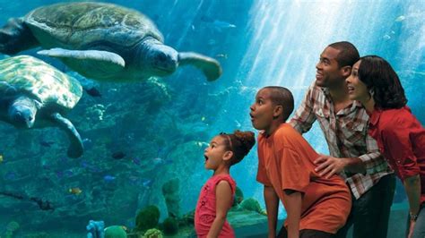 SeaWorld San Diego gets green light to reopen as a zoo in California