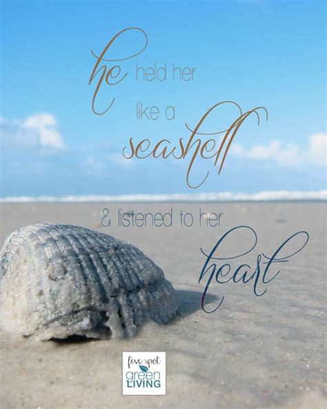 Seashell Quotes Shortquotes Cc