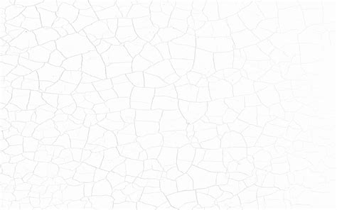 background white  photo  pixabay pixabay