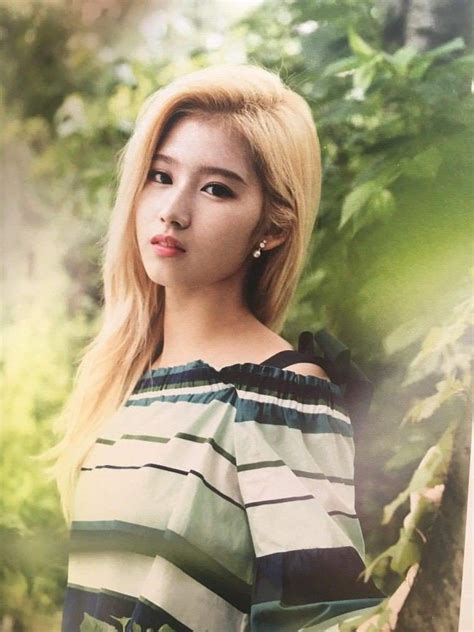 Sana Wiki Twice Amino Amino