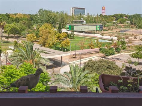 Farewell to the mourning derps of my balcony : r/mourningderps