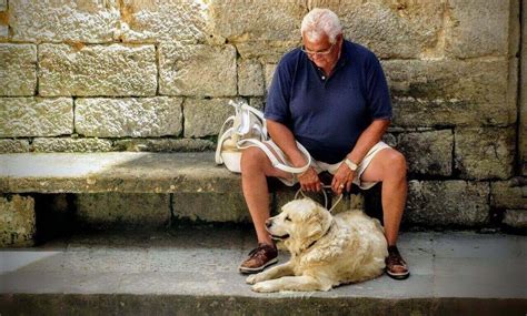 how to stop my dog from resource guarding