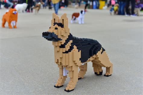 German Shepherd | German shepherd dogs, German shepherd, Dog sculpture