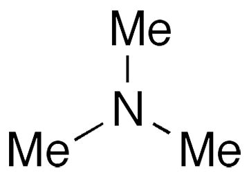 Trimethylamine Lewis Structure