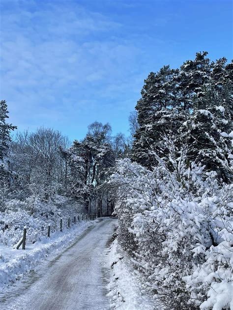 Vinter är så vackert magisktliv blogg se