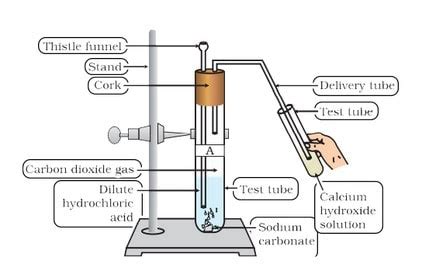 cbse ncert class  science chapter  acids bases  salts