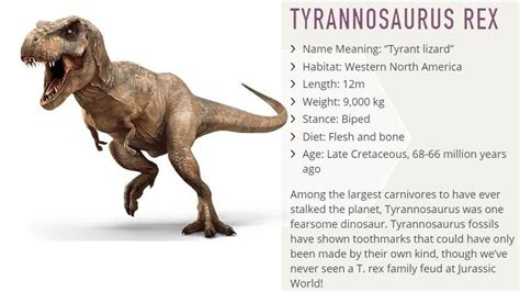 Which Jurassic World Dinosaur Are You I Got Tyrannosaurus Rex Lizard