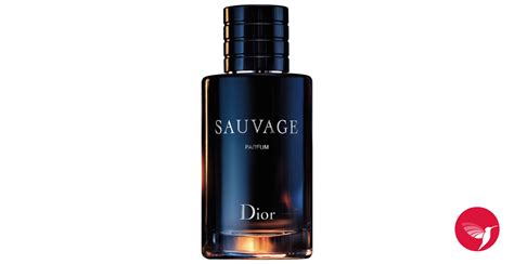 Sauvage Parfum Dior cologne - a fragrance for men 2019