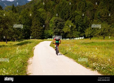 Mountain Bike Cyclist Riding Countryside Track In Bohinj Slovenia