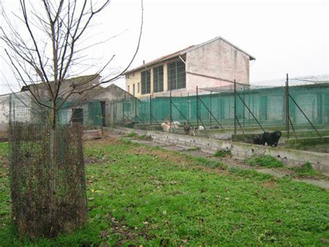 dona mezzo milione  euro ad  canile tutto zampe