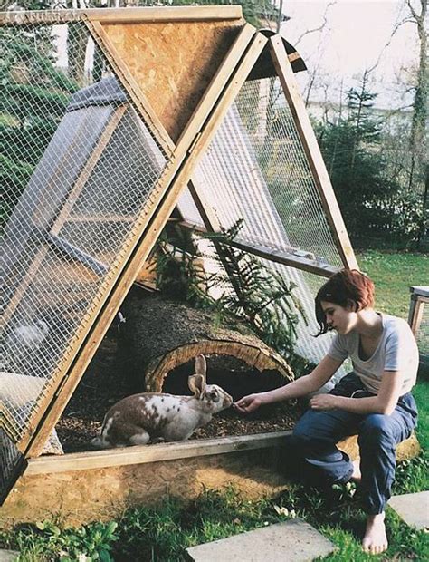25 Awesome Outdoor Bunny Cage Ideas | Housetodecor.com