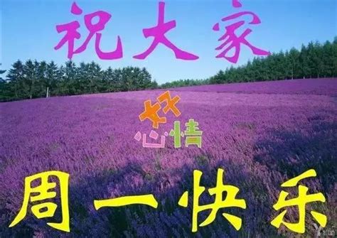新的一周早安问候祝福语大全 周一早上好祝福问候图片带字凤凰网