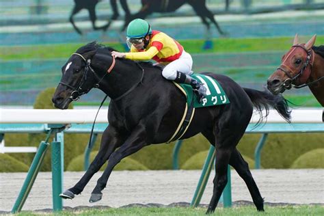 グランブリッジ競走馬2019年産 成績｜地方競馬予想のウマニティ